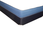 Orthocare 2