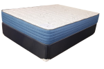 Orthocare 3